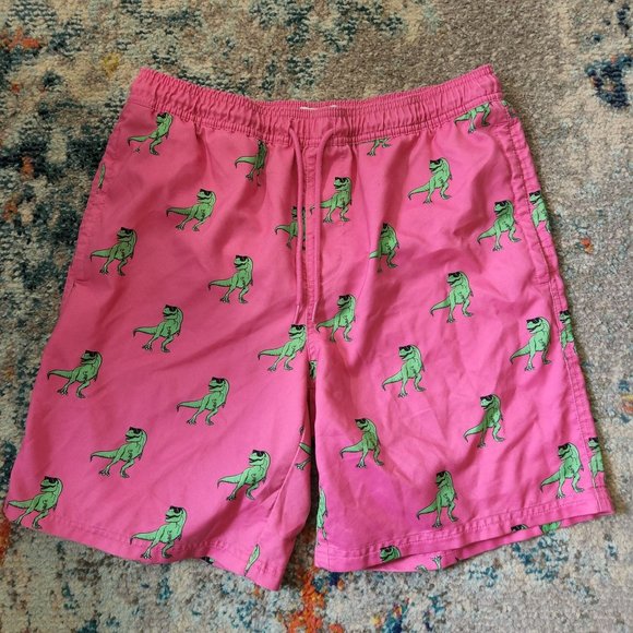 pink dinosaur swim trunks